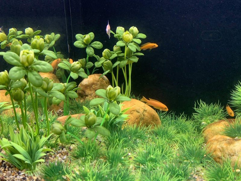 BEGONDIS Artificial Green Water Plants Flower Set 18 Pcs, Fish Tank Aquarium Decorations, Made of Soft Plastic - Image 3